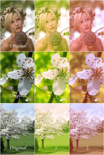 Spring Effect Photoshop Action
