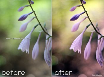 Spring Fever-Photoshop Action
