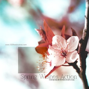 Spring Wishes Action