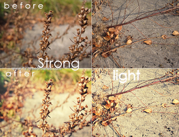 Strong Light Action