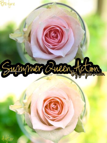Summer Queen Action