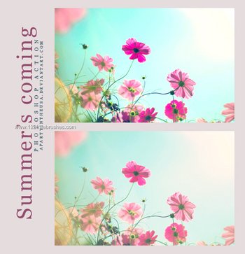 Summers Comming Ps Photoshop Action