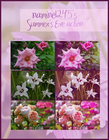 Summers Eve Free Photoshop Action