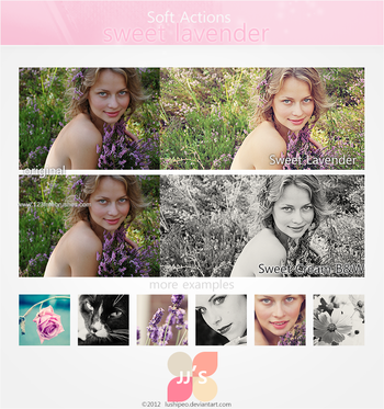 Sweet Lavender Effect Photoshop Action