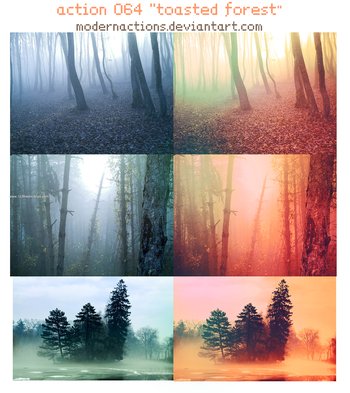 Toasted Forest Effect Photoshop Action