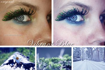 Vibrant Blue