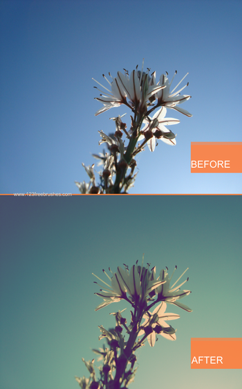 Vintage Color Effect Photoshop Action