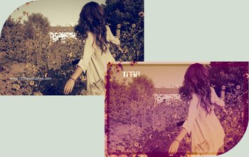 Vintage Effect Photoshop Action