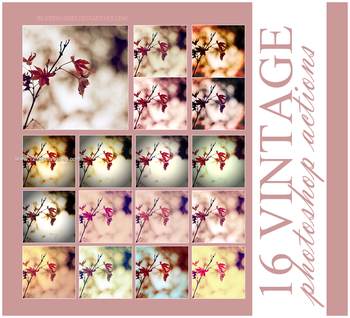 Vintage Ps Package Effect Photoshop Action