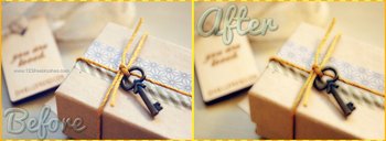 Vintage Sepia Effect Photoshop Action