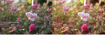 Vintage Spring Mini Effect Photoshop Action