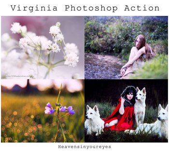 Virginia Photoshop Action