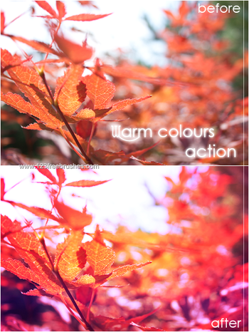 Warm colours Effect Photoshop Action