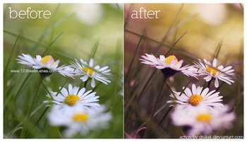 Warm Effect Photoshop Action
