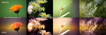 Warm Effect Photoshop Action