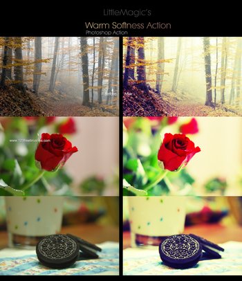 Warm Softness Photoshop Action