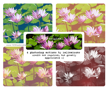 Waterlily Actions