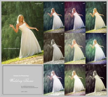 Wedding Photoshop Actions