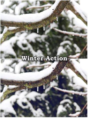 Winter Photoshop Action