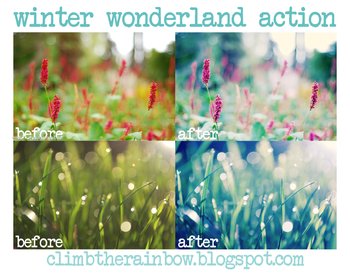Winter Wonderland Effect Photoshop Action