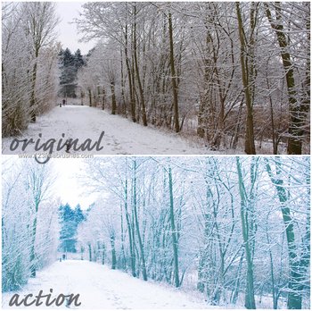 Winter Wonderland Photoshop Action