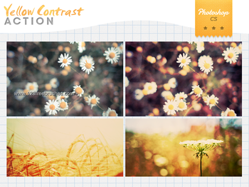 Yellow Contrast Effect Photoshop Action