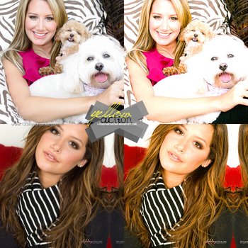 Yellow Effect Photoshop Action