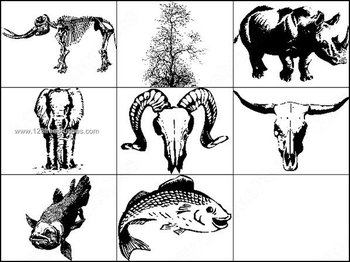 Skulls and Elephant Brushes Free