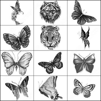 Free Butterfly – Tiger Brushes Photoshop