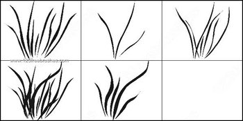 Fur Brushes Photoshop Free