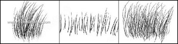 Free Photoshop Fur Brushes