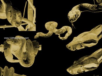 Snake Free Brushes Photoshop