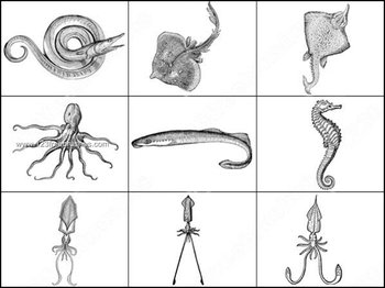 Sea Creatures Free Photoshop Brushes vol.2