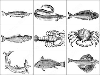 Sea Creatures Free Photoshop Brushes vol.1