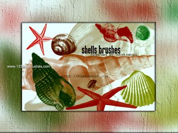 Sea Shells Free Brushes