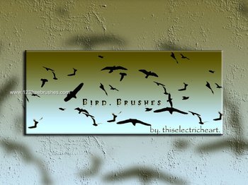 Free Bird Brushes for Photoshop