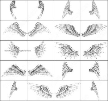 Angel Wings Brush Set