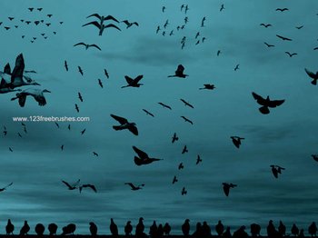 Birds of a Feather Free Brushes Pack