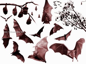 Free Bats Brushes