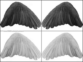 Black Angel Wings Photoshop Brushes