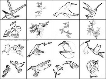 Hummingbird Photoshop Brushes Free