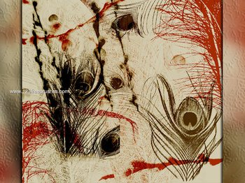 Peacock Feather Photoshop Brushes Free Download