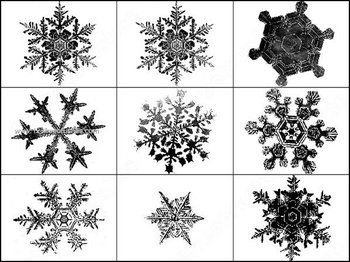 Free Snowflakes Brushes