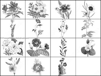 Flower Brushes for Photoshop CS2