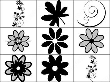 Flower Design Elements Brushes