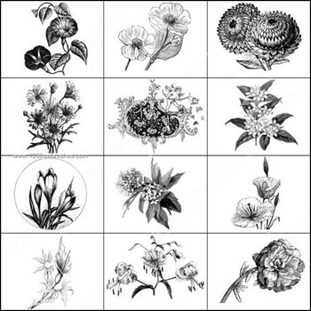 Floral Ornaments Brushes Photoshop Free