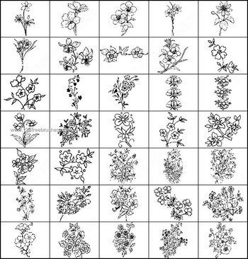 Flower Brushes for Photoshop 6
