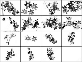 Floral Brushes Designs for Photoshop 7