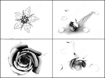Rose Brushes Photoshop