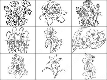 Flowers Outline Brushes